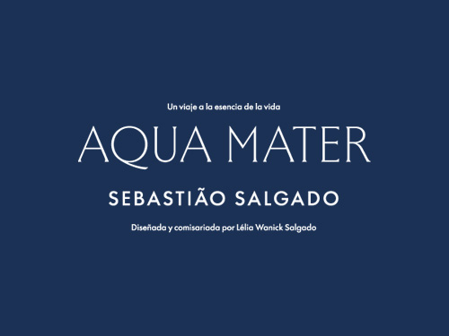 SalgadoAquaMater